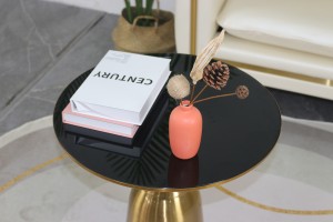 The Electroplated brushed Gold Hardware Coffee Table